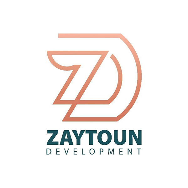 developer-logo