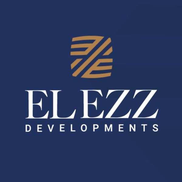 developer-logo