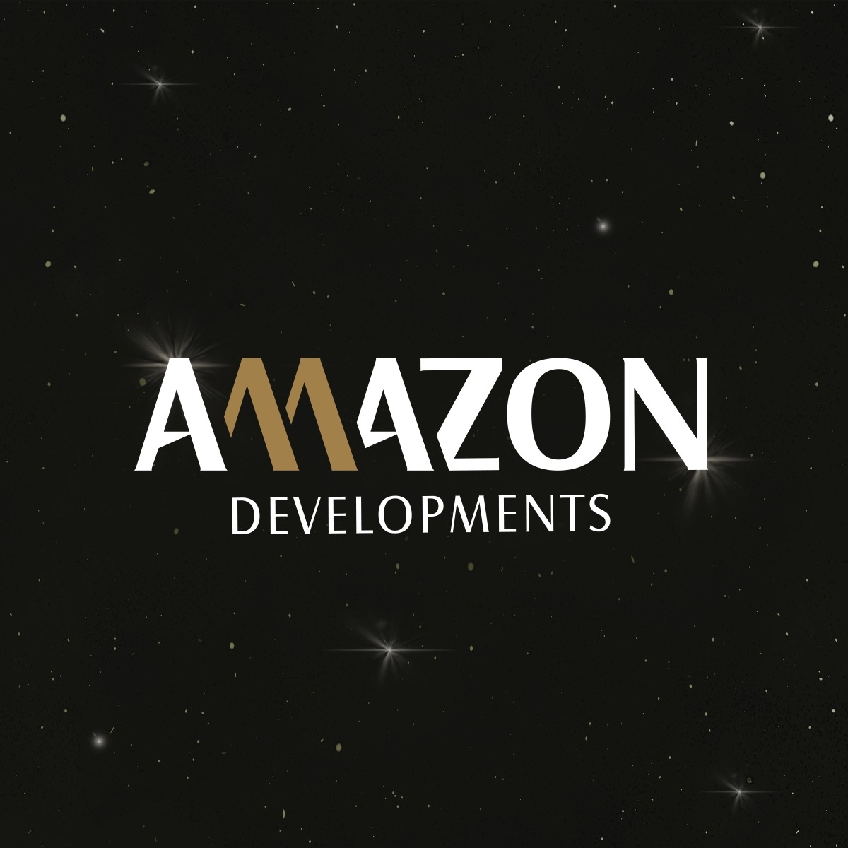 developer-logo